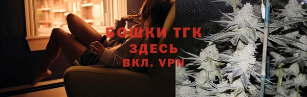 мдпв Кодинск